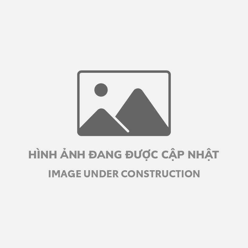 du-an-thi-cong-cau-vuot-giao-thong-trong-diem-6711777454457.jpg